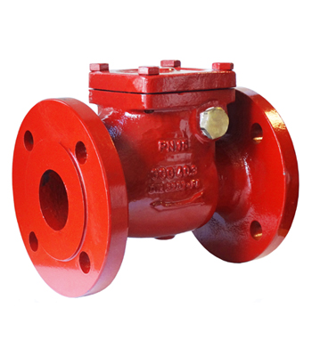 Non Return Valve